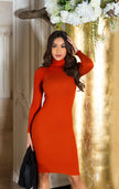 Sexy turtleneck basic must have knit dress